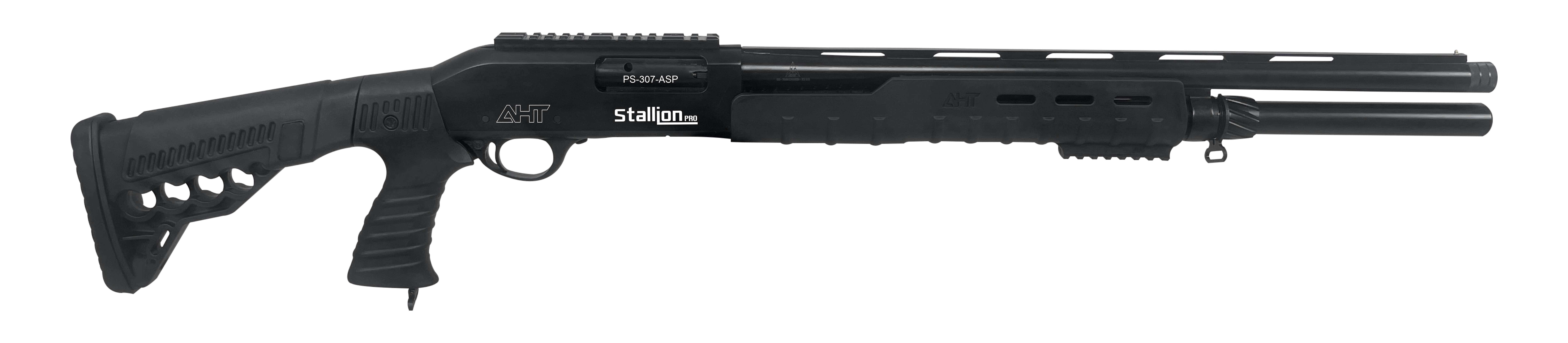 PS-307 ASP
