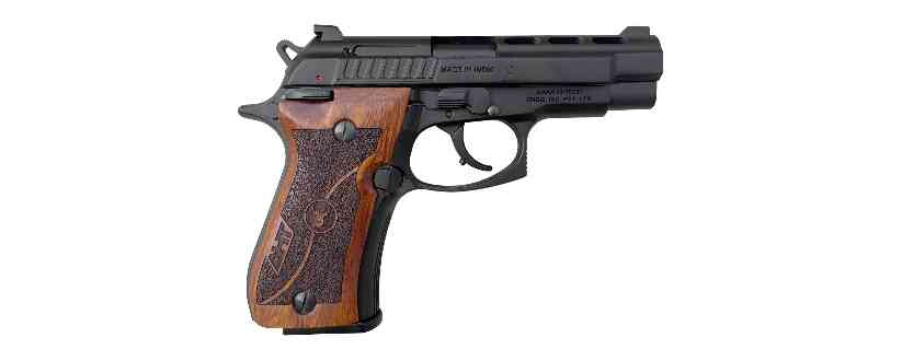 Pistol